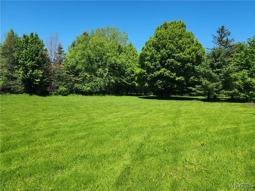 6731 Chestnut Ridge Road, Orchard Park, New York 1, Orchard Park, New York 14127, 6 Bedrooms Bedrooms, 17 Rooms Rooms,5 BathroomsBathrooms,Residential,For Sale,6731 Chestnut Ridge Road, Orchard Park, New York 1,B1623537