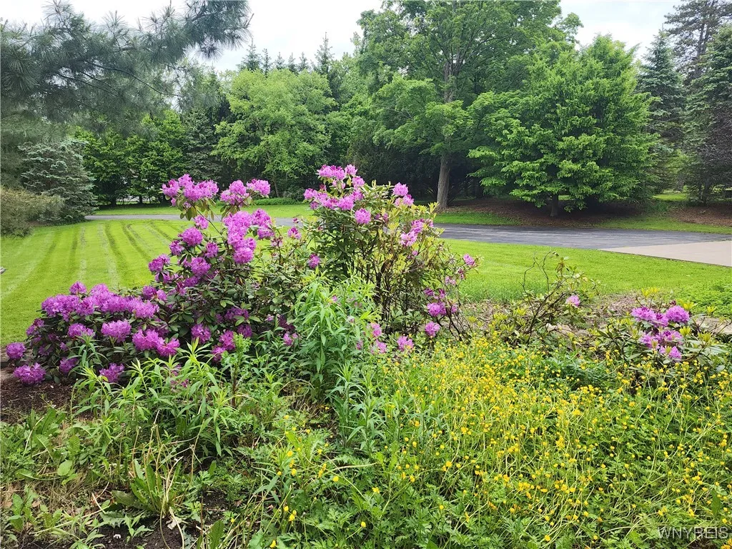 6731 Chestnut Ridge Road, Orchard Park, New York 1, Orchard Park, New York 14127, 6 Bedrooms Bedrooms, 17 Rooms Rooms,5 BathroomsBathrooms,Residential,For Sale,6731 Chestnut Ridge Road, Orchard Park, New York 1,B1623537