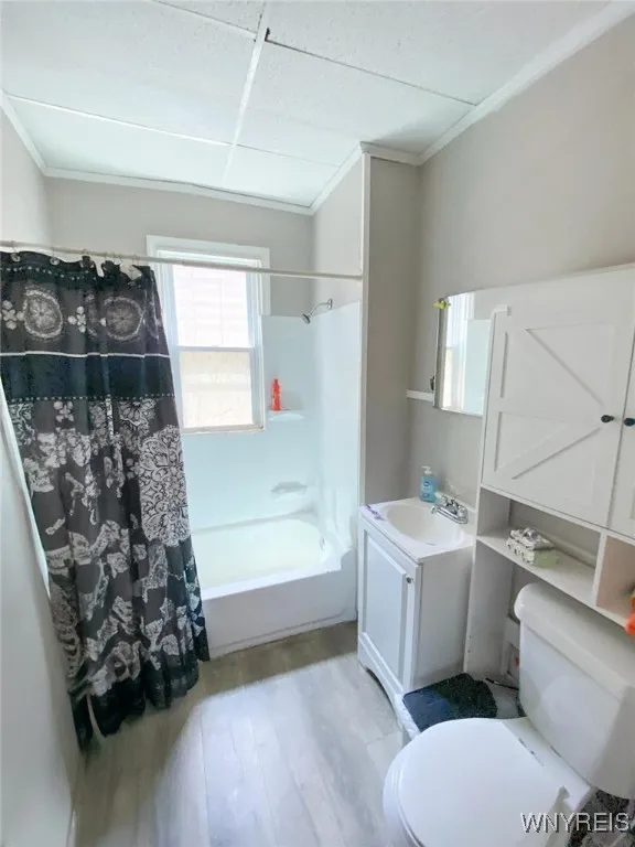 81 Kingston Place, Buffalo, New York 14210, Buffalo, New York 14210, 4 Bedrooms Bedrooms, ,2 BathroomsBathrooms,Residential,For Sale,81 Kingston Place, Buffalo, New York 14210,B1623488