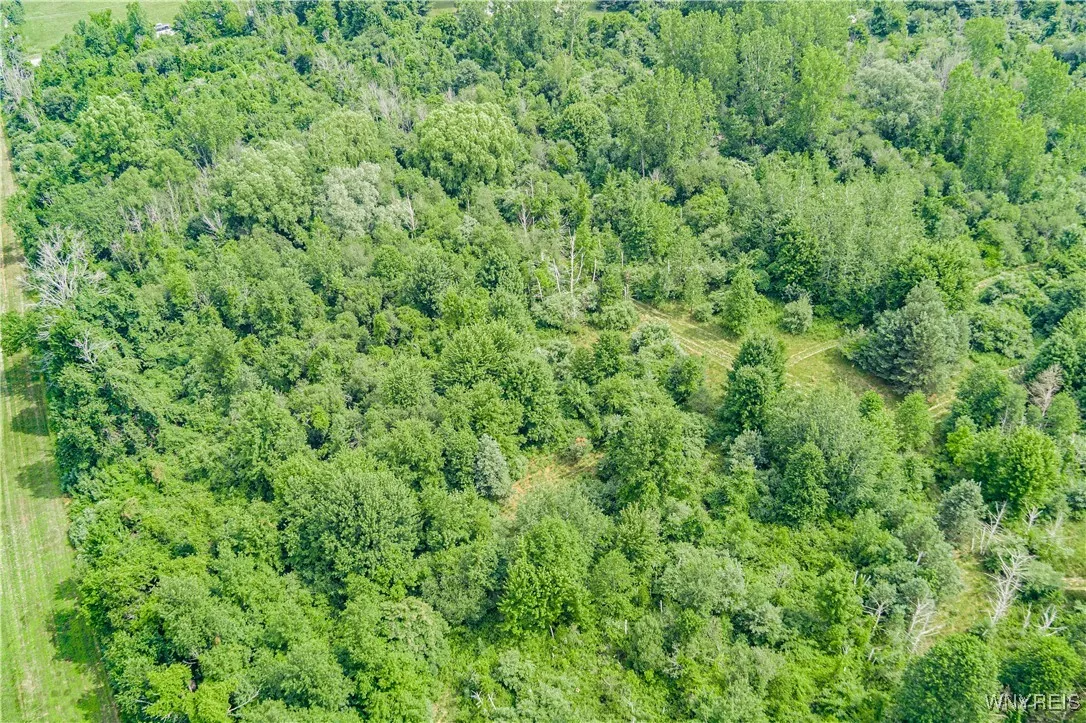 V/l Coleman Road, Somerset, New York 14012, Somerset, New York 14012, ,Land,For Sale,V/l Coleman Road, Somerset, New York 14012,B1623609