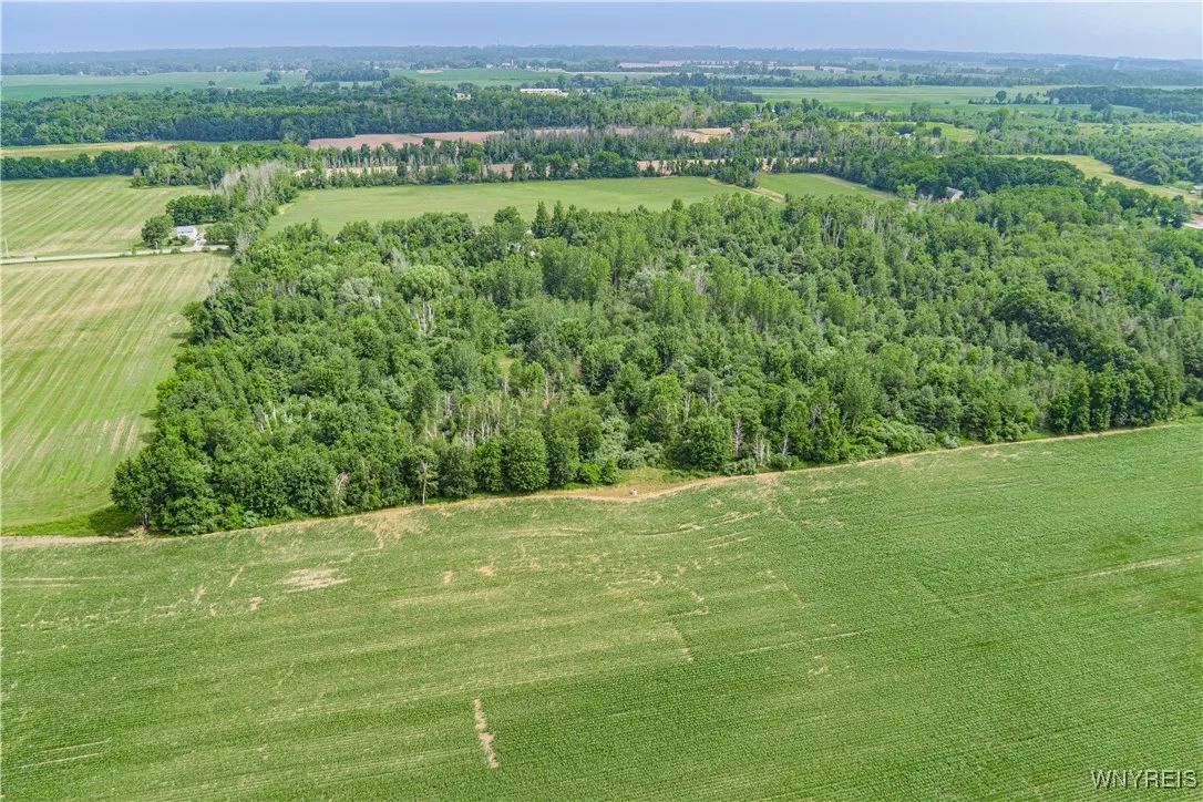 V/l Coleman Road, Somerset, New York 14012, Somerset, New York 14012, ,Land,For Sale,V/l Coleman Road, Somerset, New York 14012,B1623609