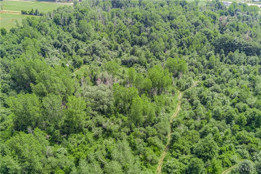V/l Coleman Road, Somerset, New York 14012, Somerset, New York 14012, ,Land,For Sale,V/l Coleman Road, Somerset, New York 14012,B1623609
