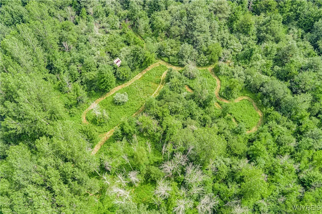 V/l Coleman Road, Somerset, New York 14012, Somerset, New York 14012, ,Land,For Sale,V/l Coleman Road, Somerset, New York 14012,B1623609