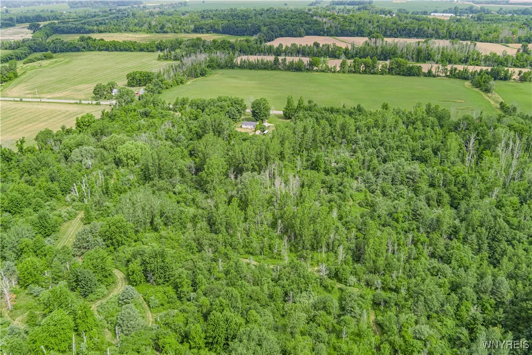 V/l Coleman Road, Somerset, New York 14012, Somerset, New York 14012, ,Land,For Sale,V/l Coleman Road, Somerset, New York 14012,B1623609