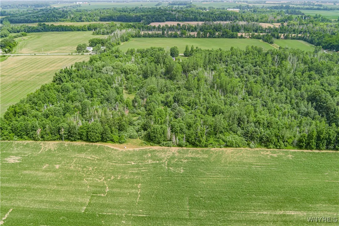 V/l Coleman Road, Somerset, New York 14012, Somerset, New York 14012, ,Land,For Sale,V/l Coleman Road, Somerset, New York 14012,B1623609