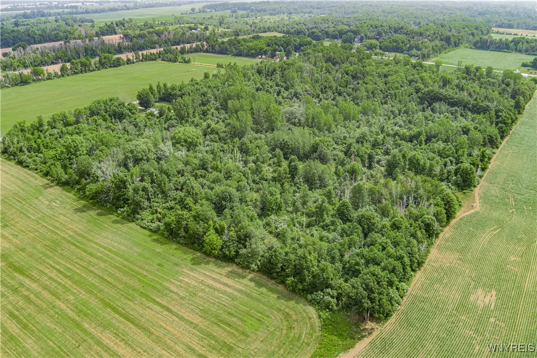 V/l Coleman Road, Somerset, New York 14012, Somerset, New York 14012, ,Land,For Sale,V/l Coleman Road, Somerset, New York 14012,B1623606