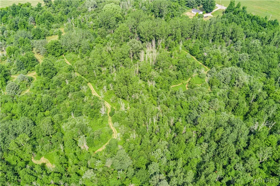 V/l Coleman Road, Somerset, New York 14012, Somerset, New York 14012, ,Land,For Sale,V/l Coleman Road, Somerset, New York 14012,B1623606