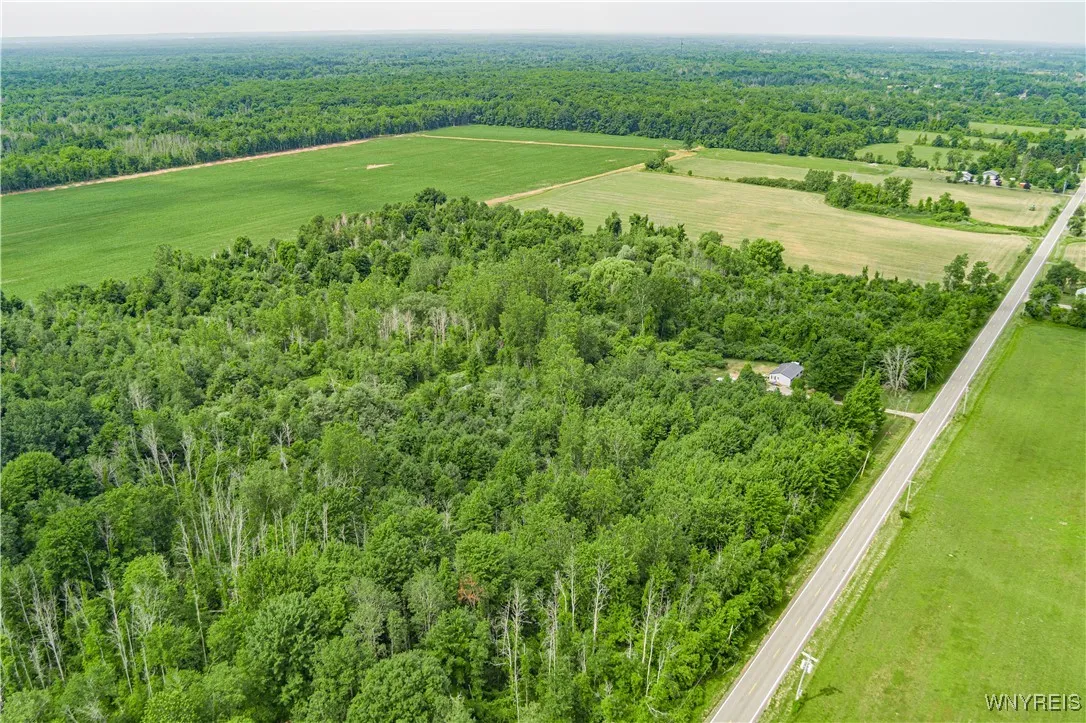 V/l Coleman Road, Somerset, New York 14012, Somerset, New York 14012, ,Land,For Sale,V/l Coleman Road, Somerset, New York 14012,B1623606