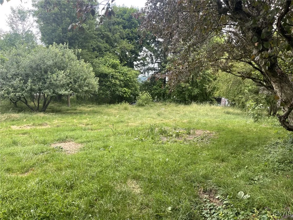 yard