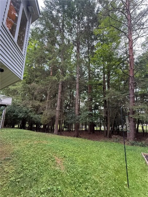 924 Deerfield Road, Elmira City, New York 14901, Elmira City, New York 14901, 4 Bedrooms Bedrooms, 13 Rooms Rooms,3 BathroomsBathrooms,Residential,For Sale,924 Deerfield Road, Elmira City, New York 14901,0,R1623497