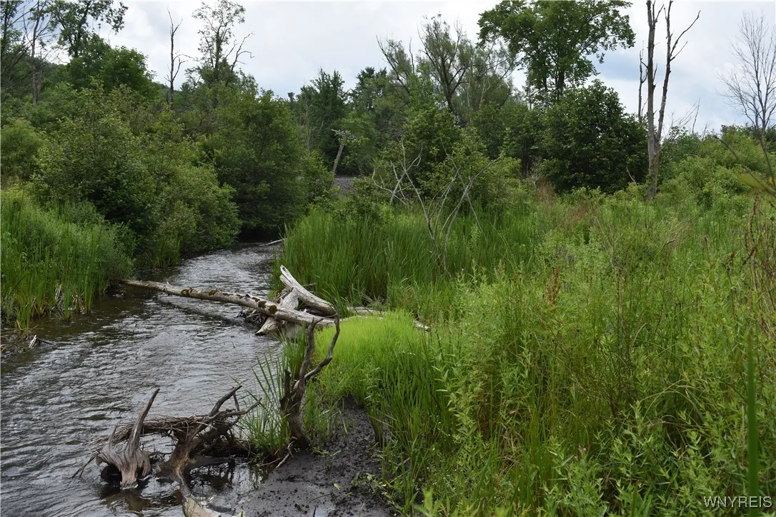 10568 Rt-16, Yorkshire, New York 14030, Yorkshire, New York 14030, ,Land,For Sale,10568 Rt-16, Yorkshire, New York 14030,B1623254