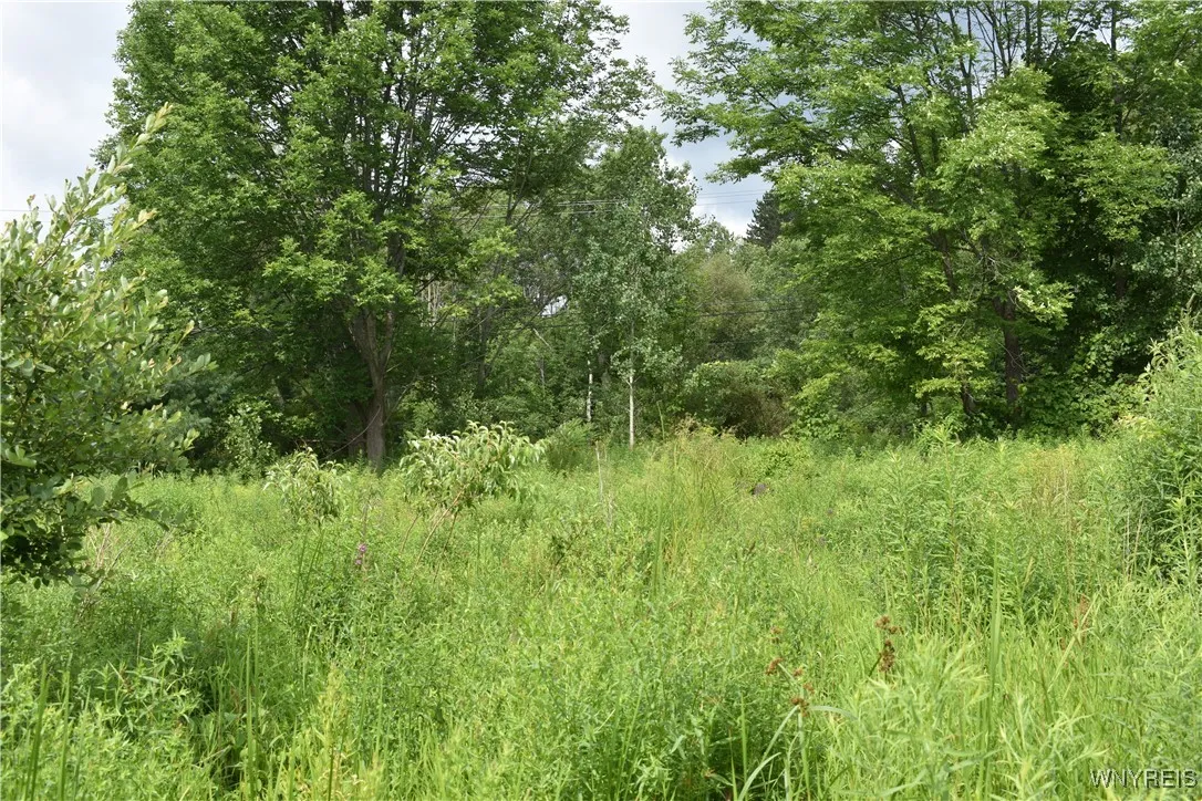 10568 Rt-16, Yorkshire, New York 14030, Yorkshire, New York 14030, ,Land,For Sale,10568 Rt-16, Yorkshire, New York 14030,B1623254