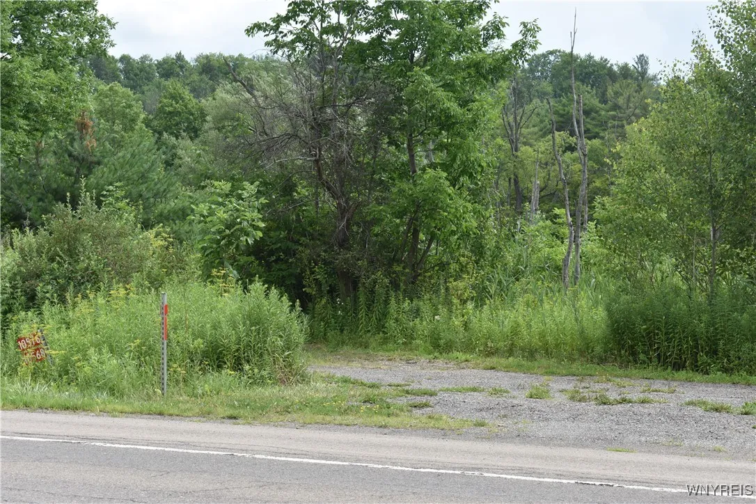 10568 Rt-16, Yorkshire, New York 14030, Yorkshire, New York 14030, ,Land,For Sale,10568 Rt-16, Yorkshire, New York 14030,B1623254