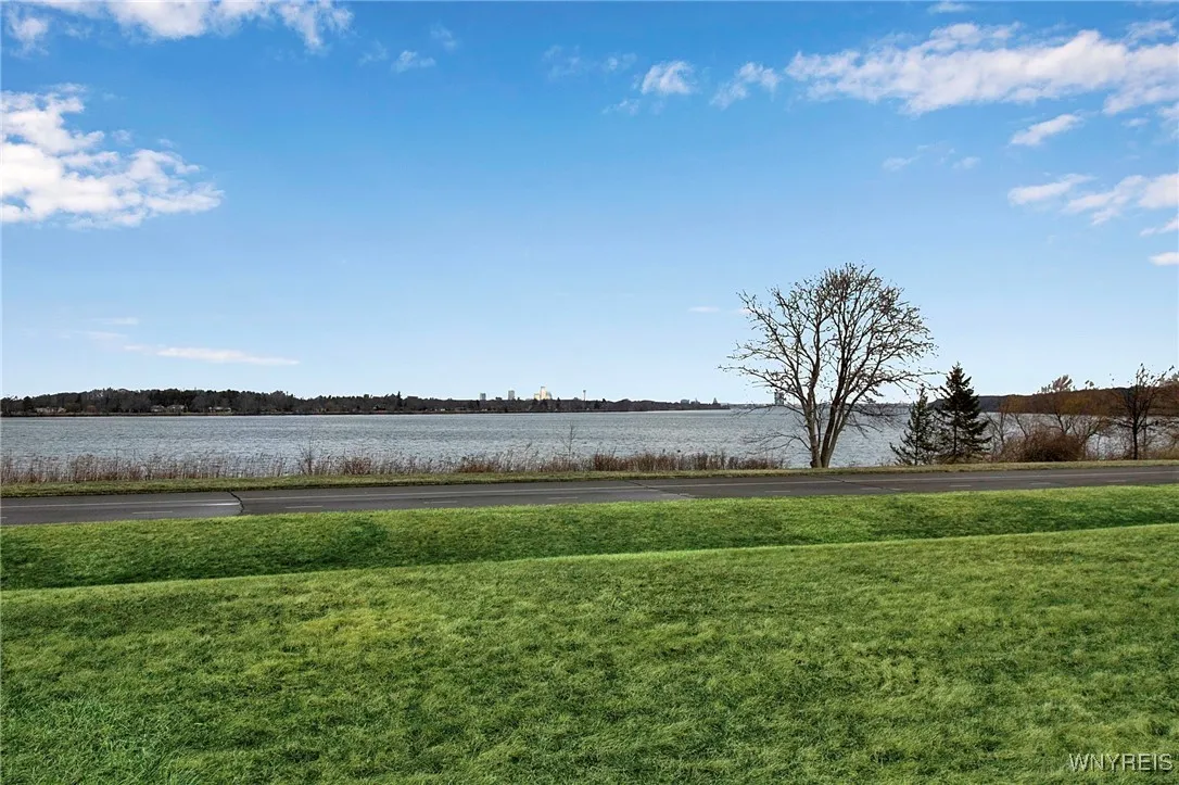 Niagara River View