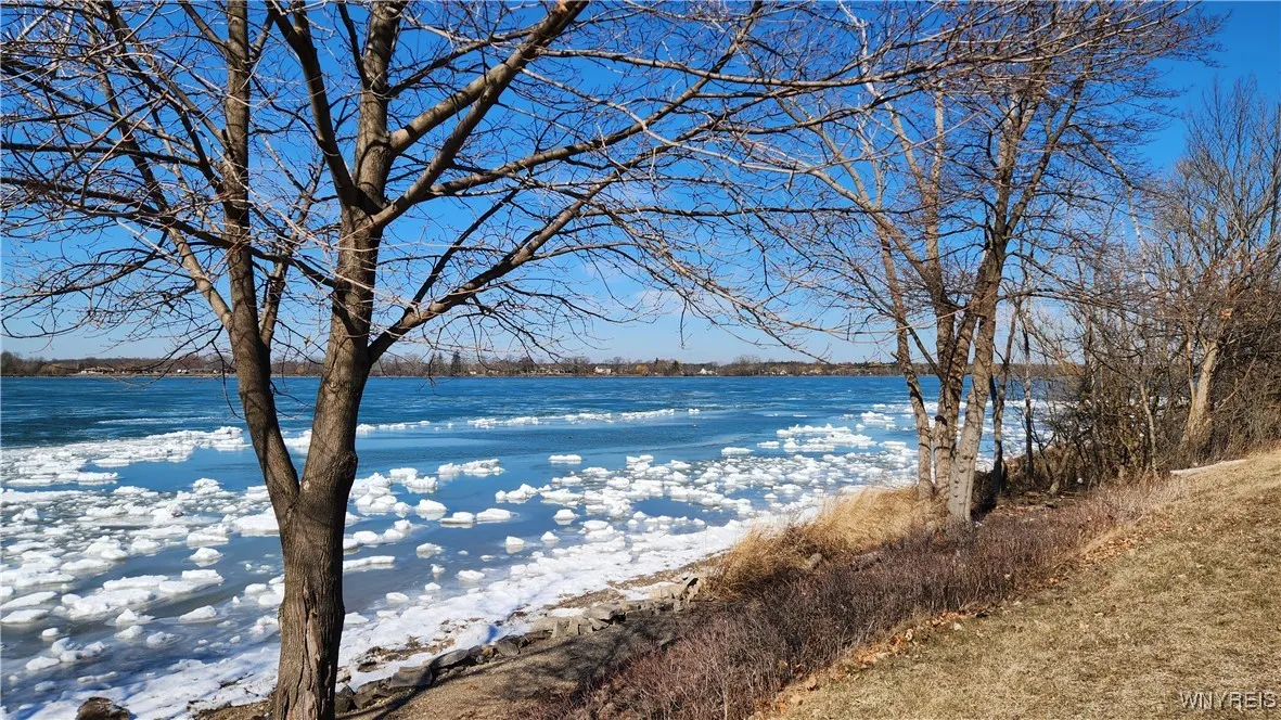 Niagara River View