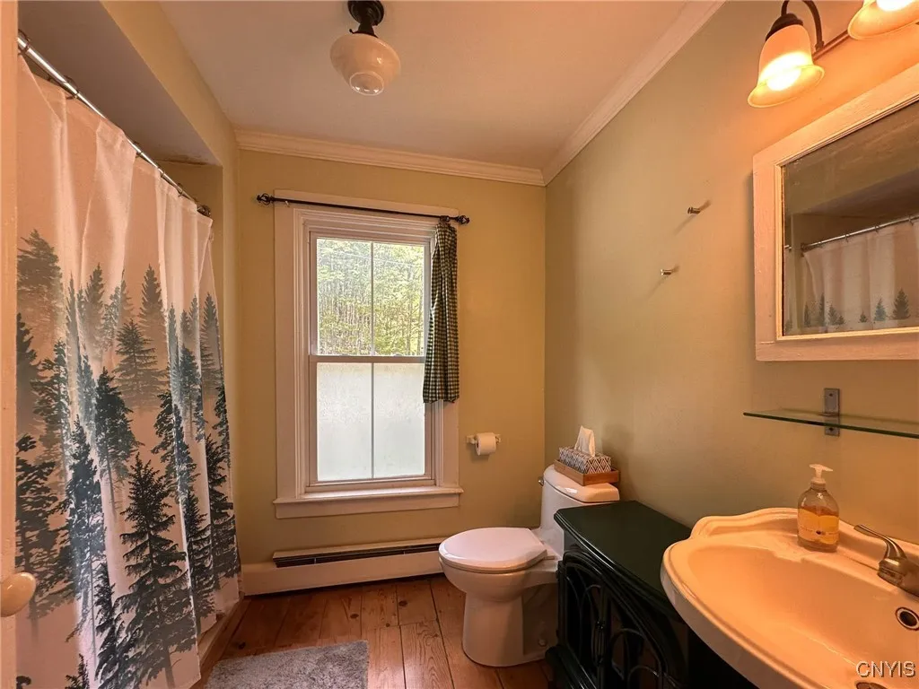 169 Honey Hill Road, Roseboom, New York 13320, Roseboom, New York 13320, 3 Bedrooms Bedrooms, 6 Rooms Rooms,1 BathroomBathrooms,Residential,For Sale,169 Honey Hill Road, Roseboom, New York 13320,0,S1621761