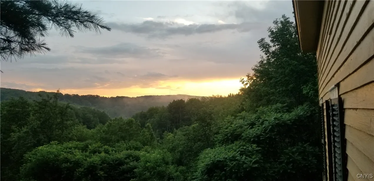 Views