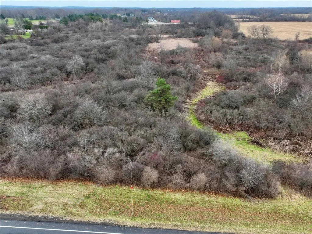 0 Brace Road - 12.9 Acres, Victor, New York 14564, Victor, New York 14564, ,Land,For Sale,0 Brace Road - 12.9 Acres, Victor, New York 14564,R1623801