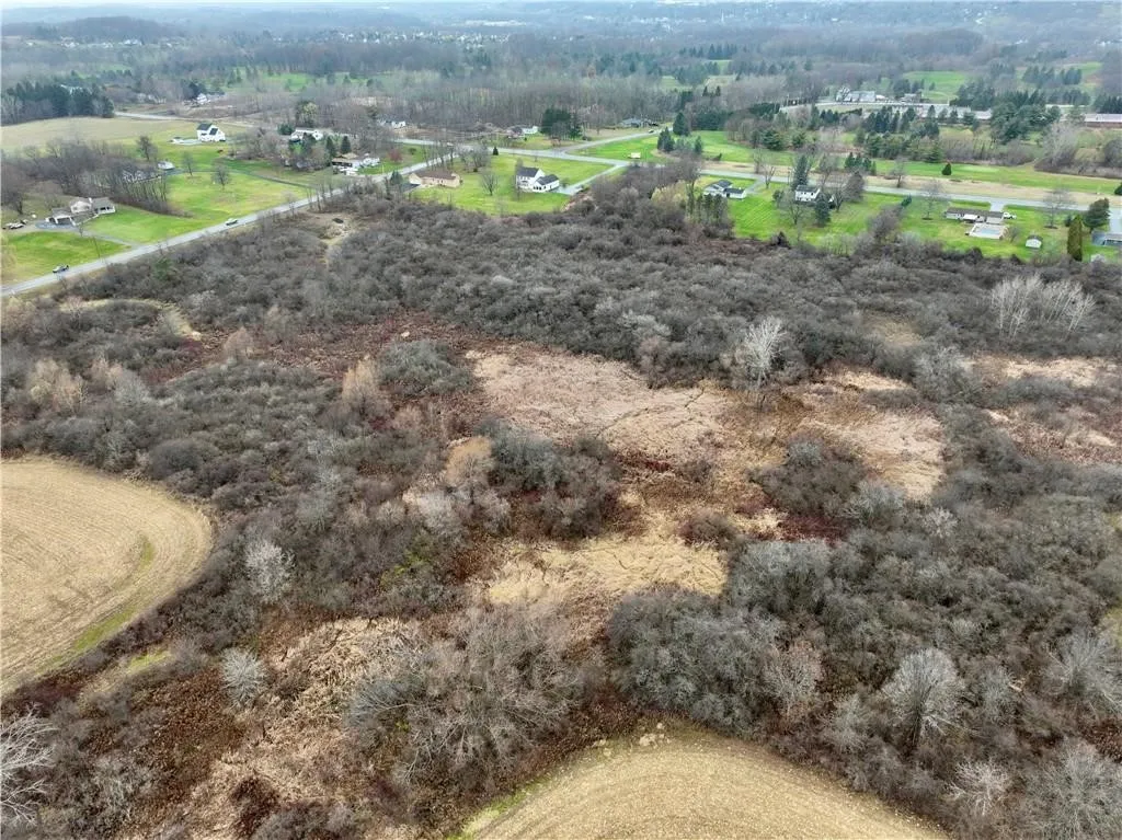 0 Brace Road - 12.9 Acres, Victor, New York 14564, Victor, New York 14564, ,Land,For Sale,0 Brace Road - 12.9 Acres, Victor, New York 14564,R1623801