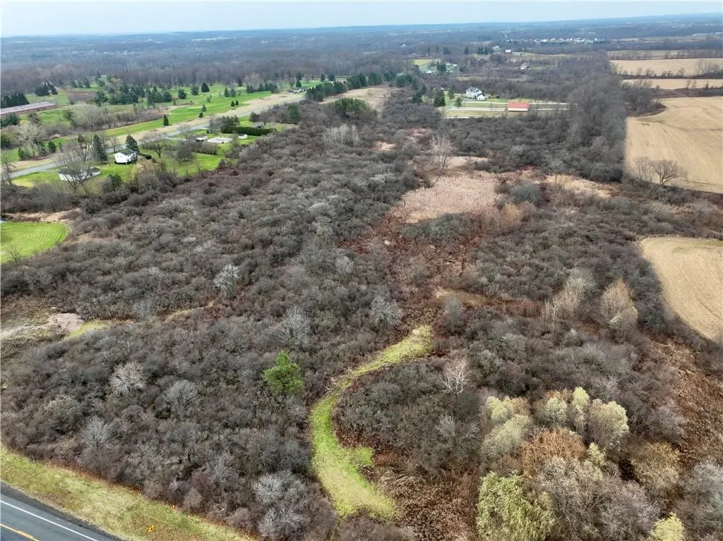 0 Brace Road - 12.9 Acres, Victor, New York 14564, Victor, New York 14564, ,Land,For Sale,0 Brace Road - 12.9 Acres, Victor, New York 14564,R1623801