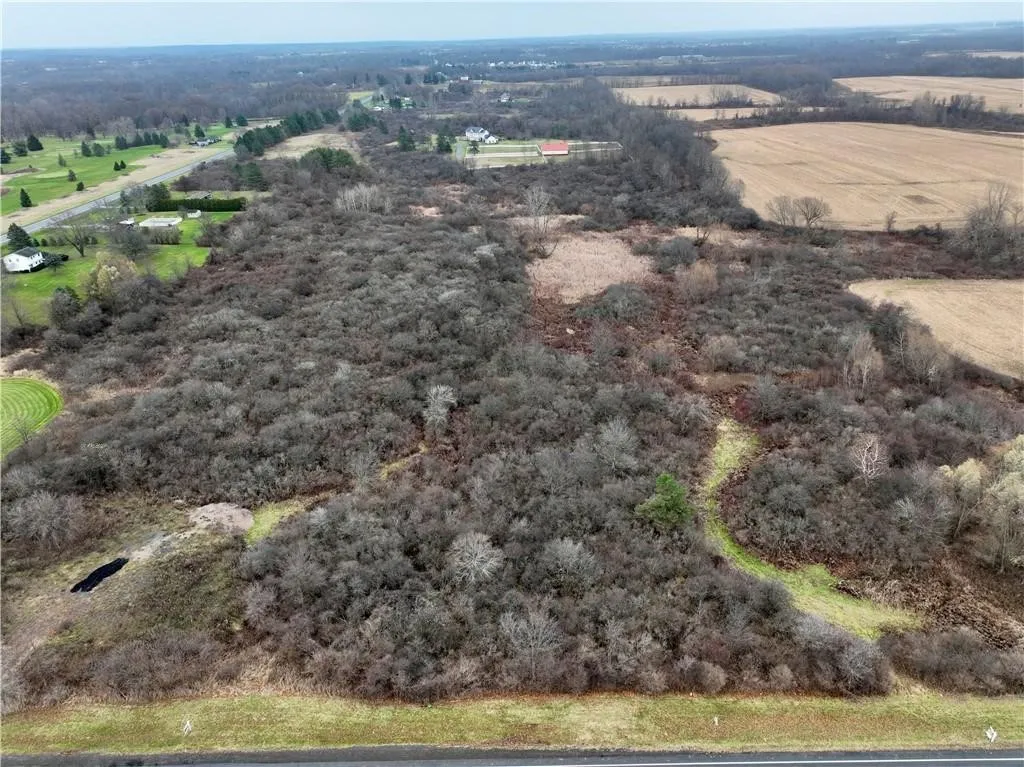 0 Brace Road - 12.9 Acres, Victor, New York 14564, Victor, New York 14564, ,Land,For Sale,0 Brace Road - 12.9 Acres, Victor, New York 14564,R1623801