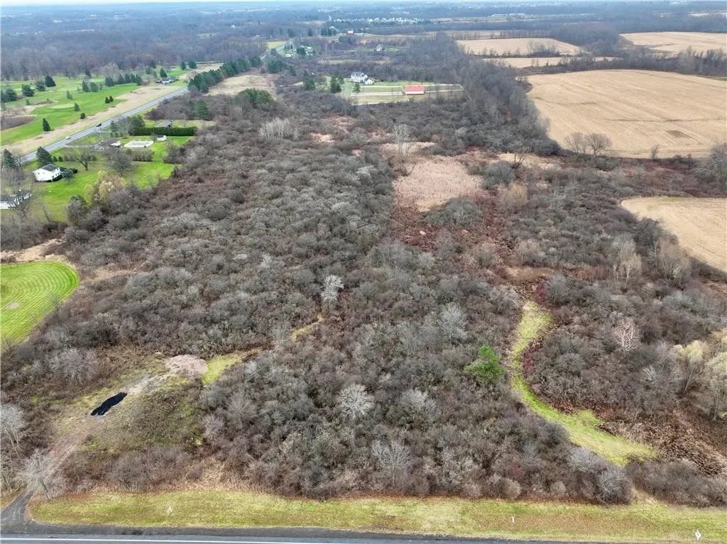0 Brace Road - 12.9 Acres, Victor, New York 14564, Victor, New York 14564, ,Land,For Sale,0 Brace Road - 12.9 Acres, Victor, New York 14564,R1623801