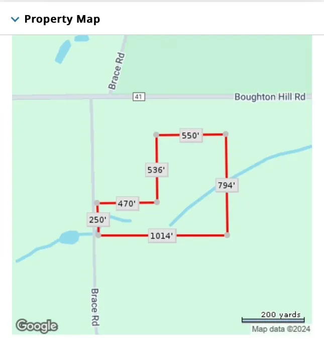 0 Brace Road - 12.9 Acres, Victor, New York 14564, Victor, New York 14564, ,Land,For Sale,0 Brace Road - 12.9 Acres, Victor, New York 14564,R1623801