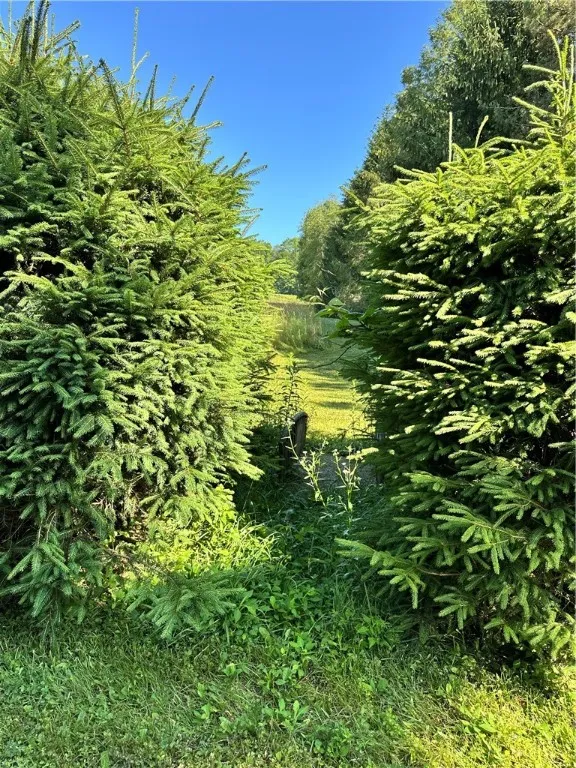 1682 Walton Mountain Road, Walton, New York 13856, Walton, New York 13856, 3 Bedrooms Bedrooms, 10 Rooms Rooms,1 BathroomBathrooms,Residential,For Sale,1682 Walton Mountain Road, Walton, New York 13856,R1623821