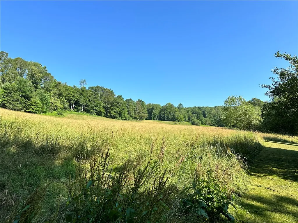 1682 Walton Mountain Road, Walton, New York 13856, Walton, New York 13856, 3 Bedrooms Bedrooms, 10 Rooms Rooms,1 BathroomBathrooms,Residential,For Sale,1682 Walton Mountain Road, Walton, New York 13856,R1623821
