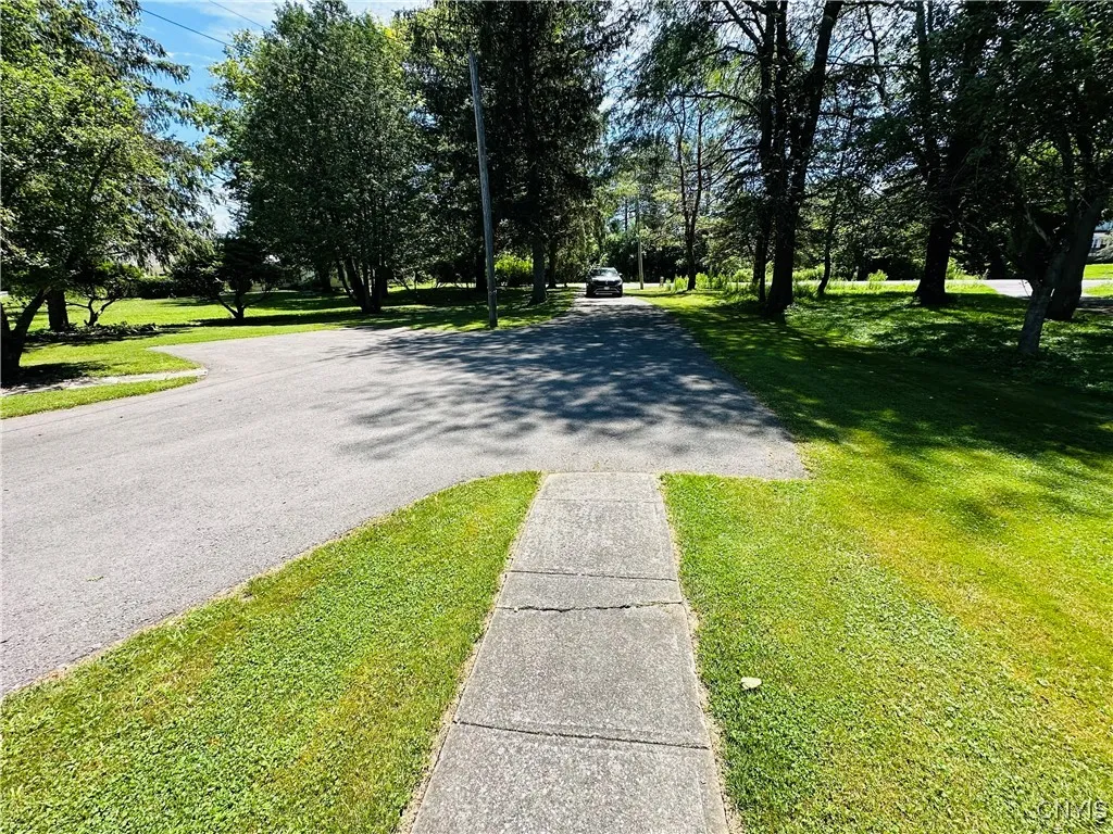 Looking toward Coon Hill Road from driveway.