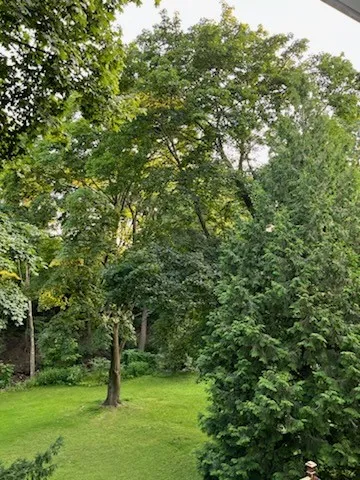 499 Castle Street 2, Geneva City, New York 14456, Geneva City, New York 14456, 6 Bedrooms Bedrooms, ,2 BathroomsBathrooms,Residential,For Sale,499 Castle Street 2, Geneva City, New York 14456,R1621977