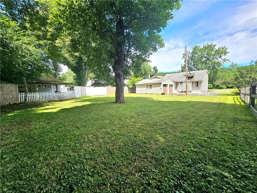 Back yard