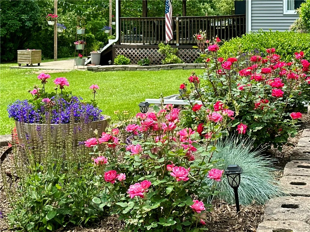Gorgeous Perennials to Enjoy