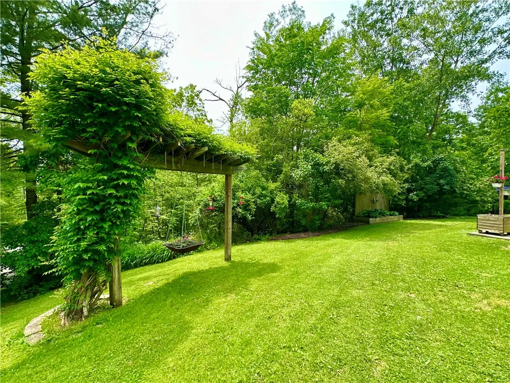 Yard View