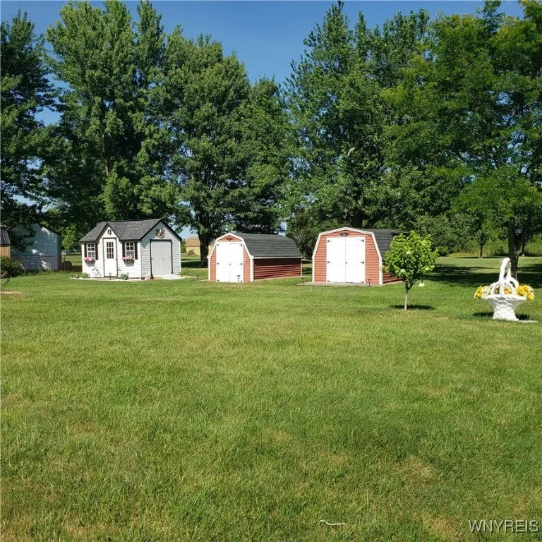 Three sheds to store plenty of household stuff