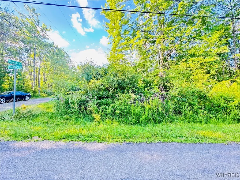 0 Sycamore Street, Evans, New York 14006, Evans, New York 14006, ,Land,For Sale,0 Sycamore Street, Evans, New York 14006,B1623308