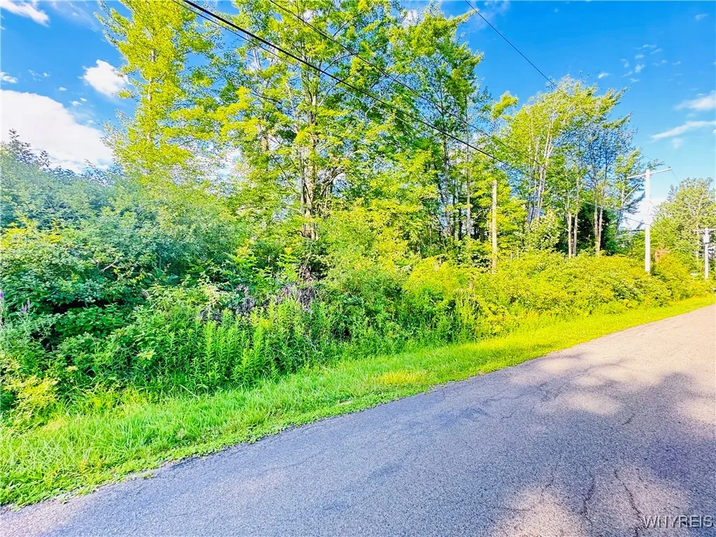 0 Sycamore Street, Evans, New York 14006, Evans, New York 14006, ,Land,For Sale,0 Sycamore Street, Evans, New York 14006,B1623308