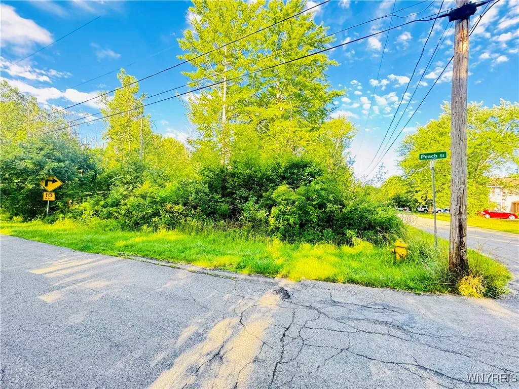 0 Sycamore Street, Evans, New York 14006, Evans, New York 14006, ,Land,For Sale,0 Sycamore Street, Evans, New York 14006,B1623308