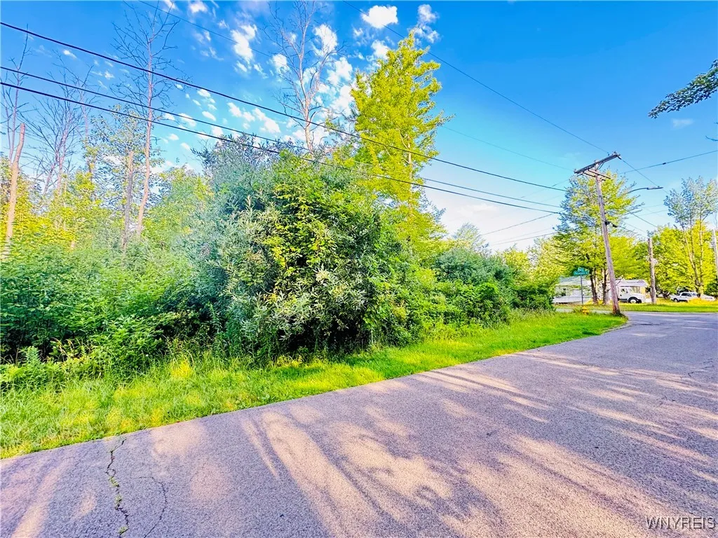 0 Sycamore Street, Evans, New York 14006, Evans, New York 14006, ,Land,For Sale,0 Sycamore Street, Evans, New York 14006,B1623308