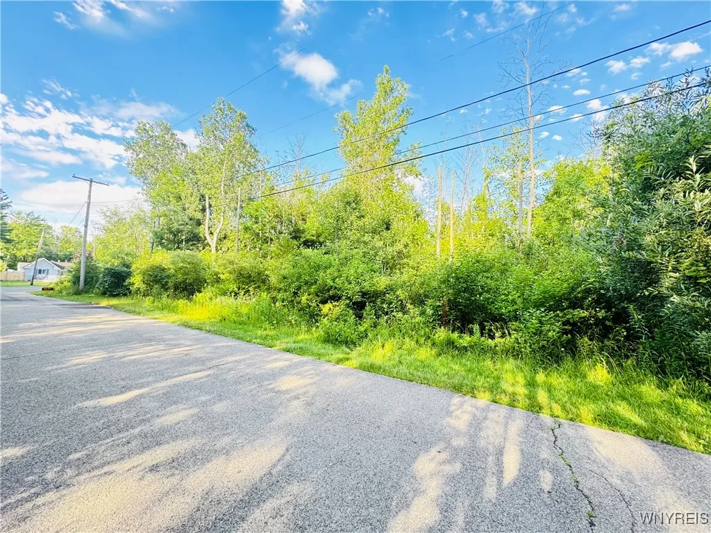 0 Sycamore Street, Evans, New York 14006, Evans, New York 14006, ,Land,For Sale,0 Sycamore Street, Evans, New York 14006,B1623308