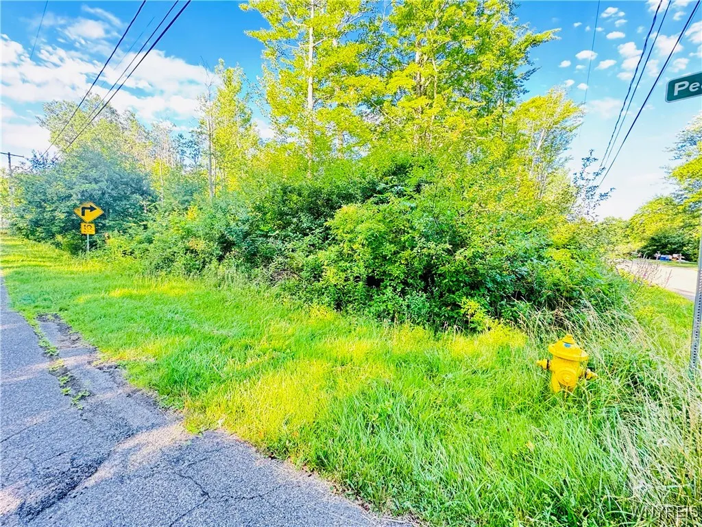0 Sycamore Street, Evans, New York 14006, Evans, New York 14006, ,Land,For Sale,0 Sycamore Street, Evans, New York 14006,B1623308