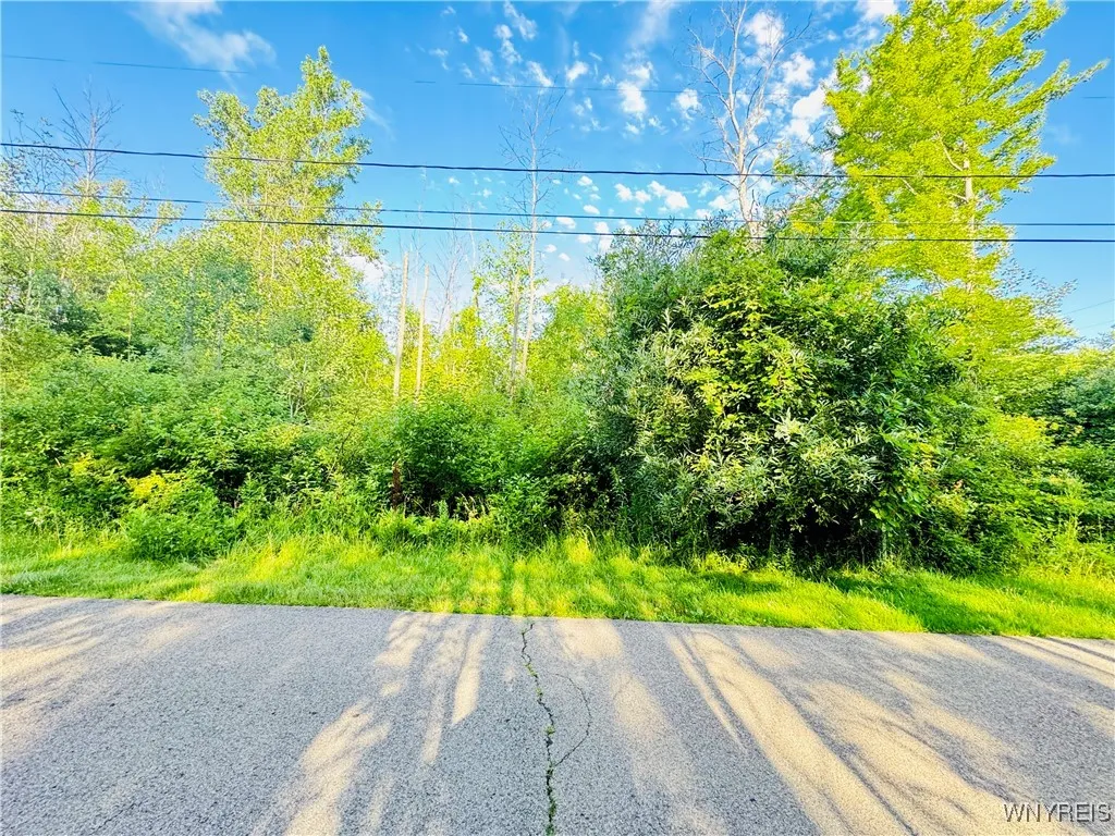 0 Sycamore Street, Evans, New York 14006, Evans, New York 14006, ,Land,For Sale,0 Sycamore Street, Evans, New York 14006,B1623308