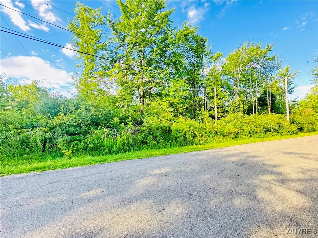 0 Sycamore Street, Evans, New York 14006, Evans, New York 14006, ,Land,For Sale,0 Sycamore Street, Evans, New York 14006,B1623308