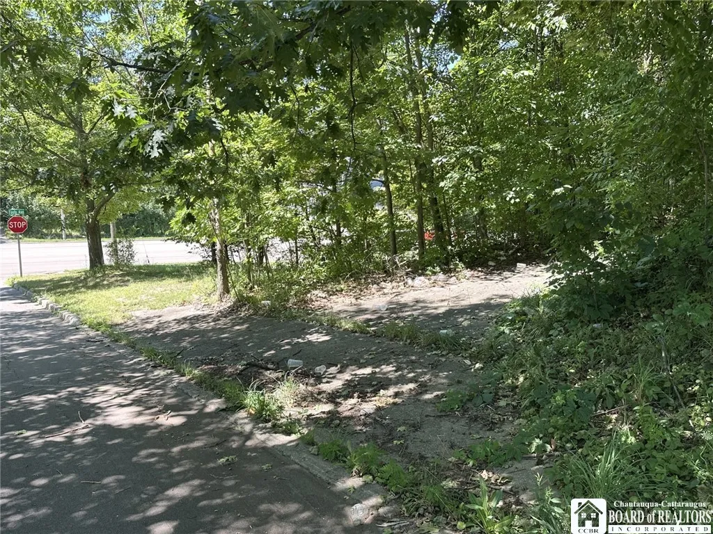 Foote Avenue, Jamestown, New York 14701, Jamestown, New York 14701, ,Land,For Sale,Foote Avenue, Jamestown, New York 14701,R1622450