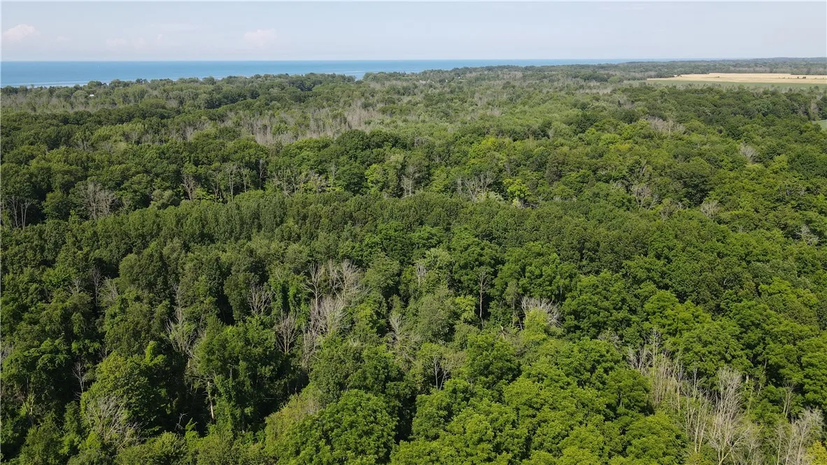 3201 Wilson Youngstown Road, Wilson, New York 1417, Wilson, New York 14172, ,Land,For Sale,3201 Wilson Youngstown Road, Wilson, New York 1417,R1623902