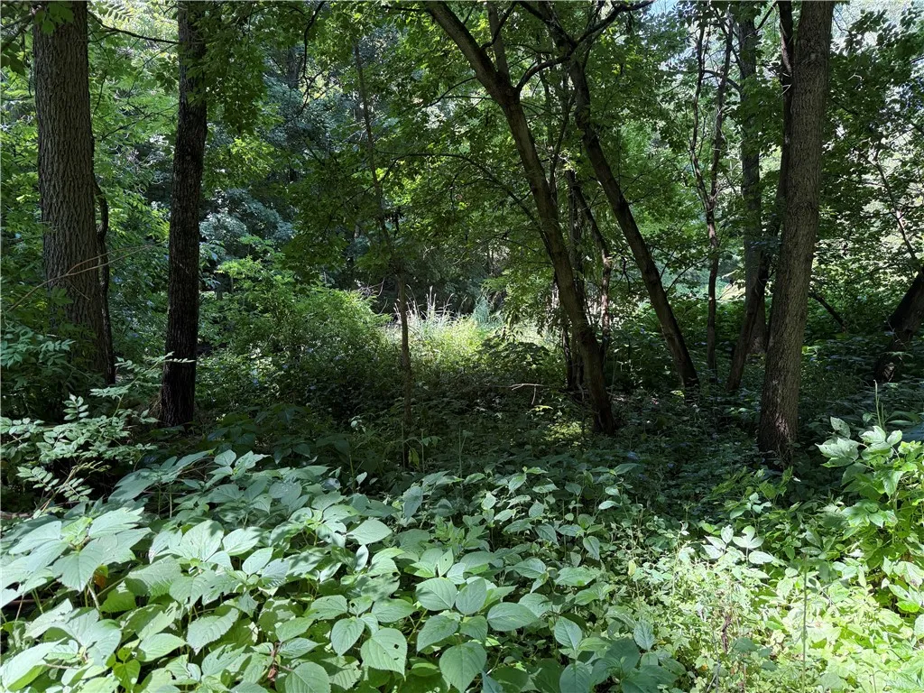 3201 Wilson Youngstown Road, Wilson, New York 1417, Wilson, New York 14172, ,Land,For Sale,3201 Wilson Youngstown Road, Wilson, New York 1417,R1623902