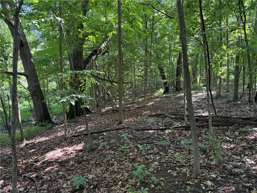 3201 Wilson Youngstown Road, Wilson, New York 1417, Wilson, New York 14172, ,Land,For Sale,3201 Wilson Youngstown Road, Wilson, New York 1417,R1623902