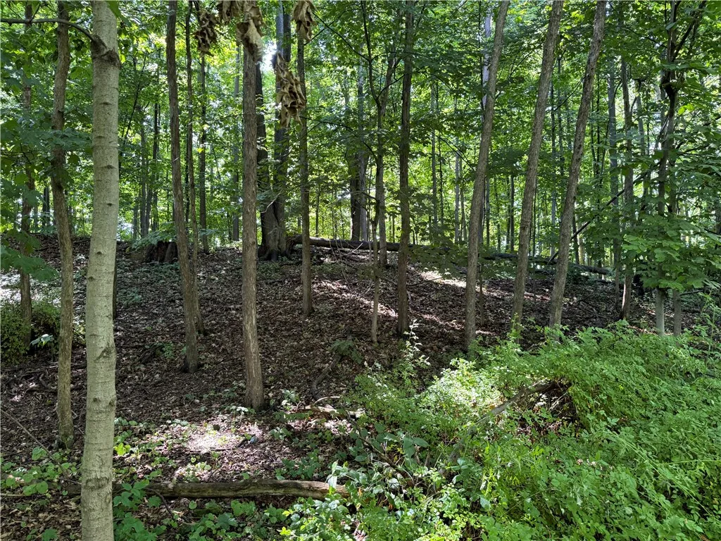 3201 Wilson Youngstown Road, Wilson, New York 1417, Wilson, New York 14172, ,Land,For Sale,3201 Wilson Youngstown Road, Wilson, New York 1417,R1623902
