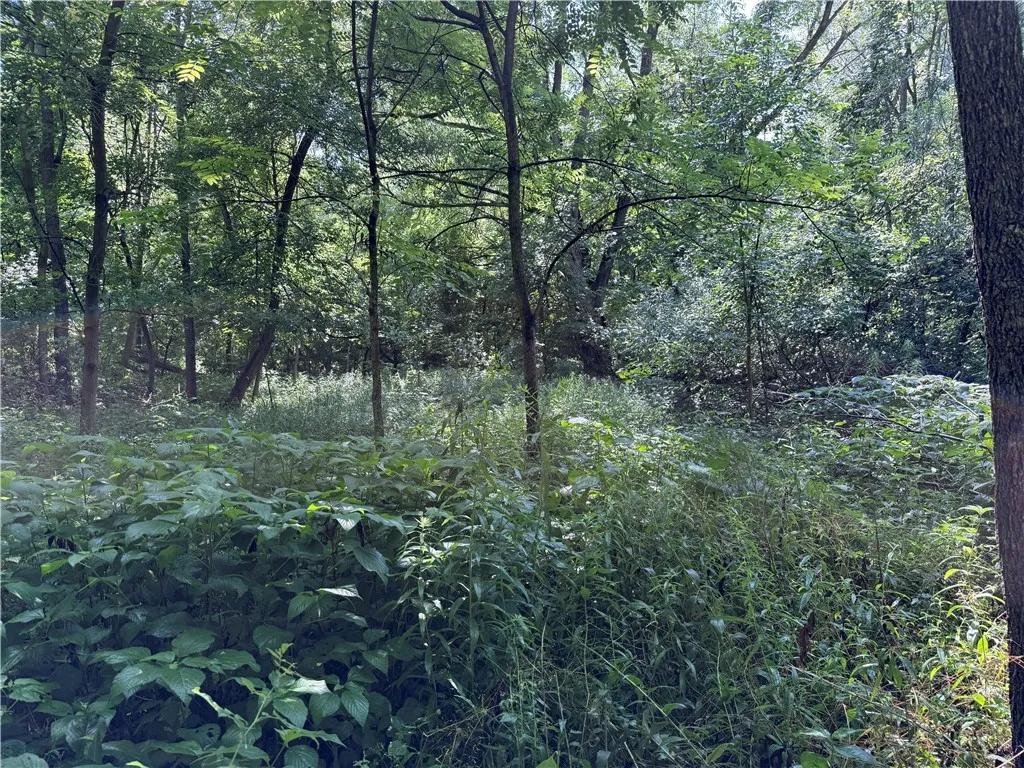 3201 Wilson Youngstown Road, Wilson, New York 1417, Wilson, New York 14172, ,Land,For Sale,3201 Wilson Youngstown Road, Wilson, New York 1417,R1623902