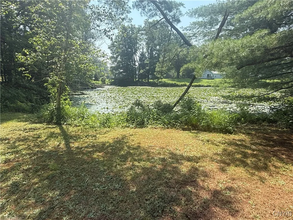 Murray Brook in your back yard.
